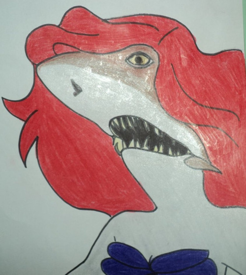 Shark ariel